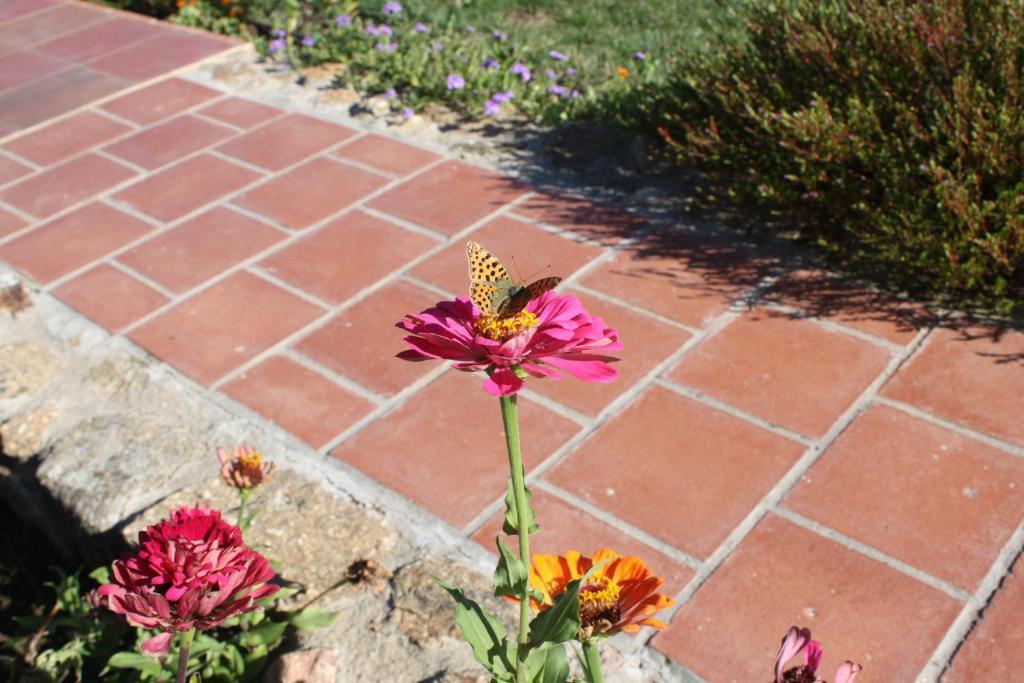 Apartamentos El Jardin Del Poeta Guijo de Granadilla エクステリア 写真