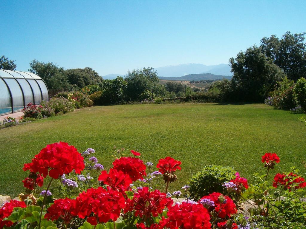 Apartamentos El Jardin Del Poeta Guijo de Granadilla エクステリア 写真